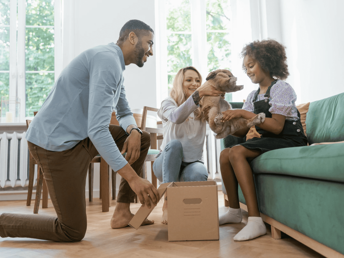 Dog vitamins for optimal canine health