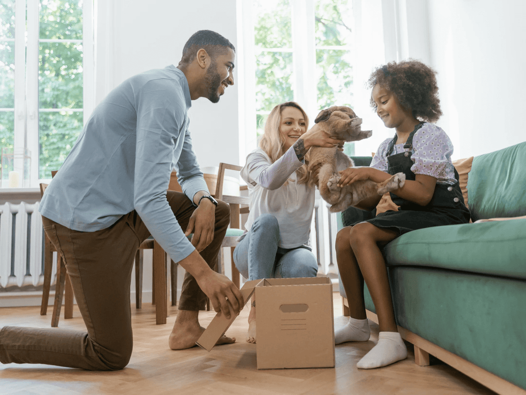 Dog vitamins for optimal canine health