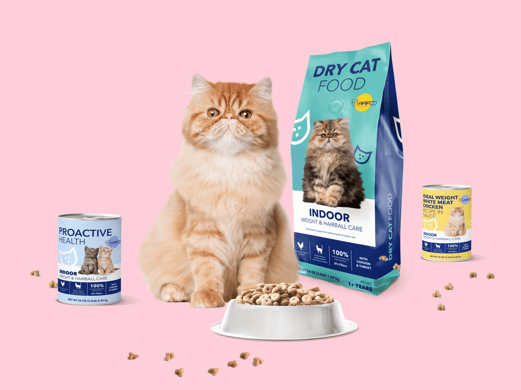 Low-maintenance pet: what to choose?