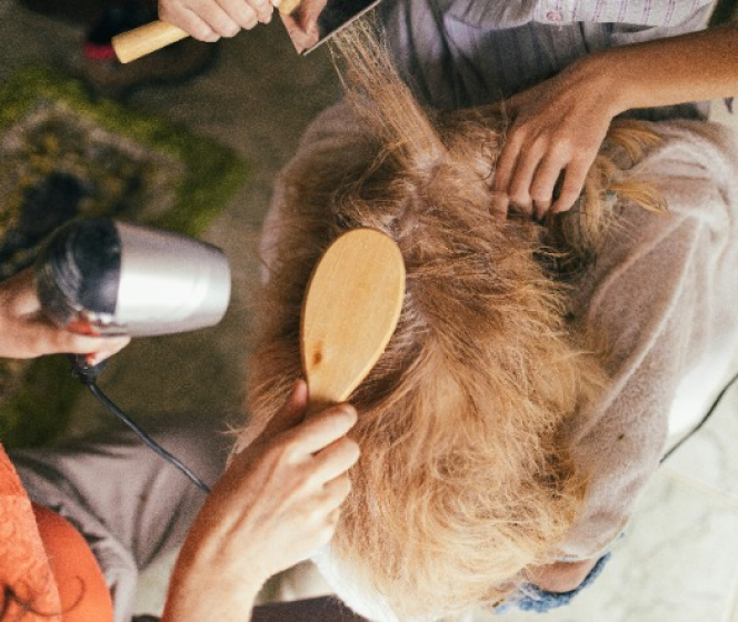 Everything you need to know about dog’s nutrition