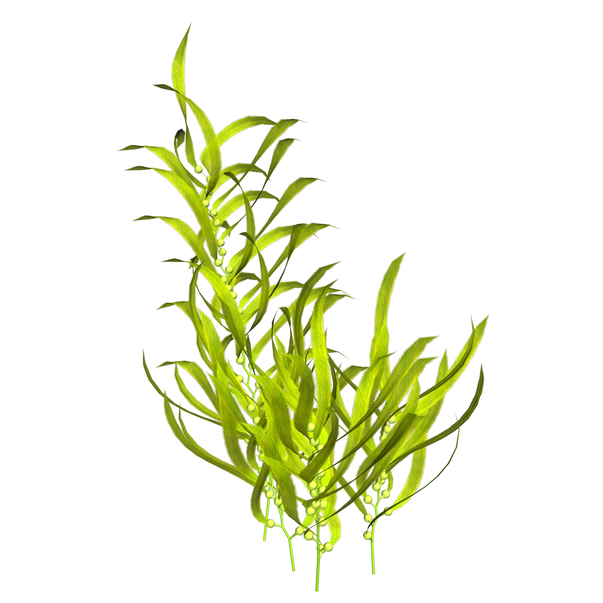 Plastic grass weed