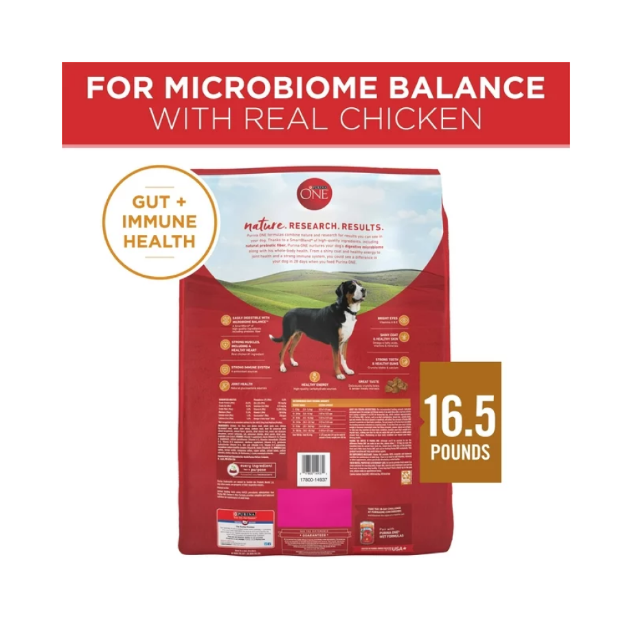 Purina One Dry Dog Food