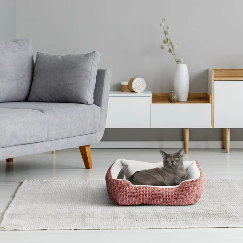 Vibrant Life Cuddler Pet Bed, Small, 19" x 15", Rust