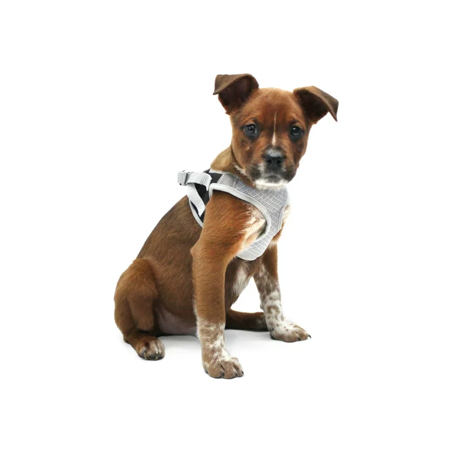 Vibrant Life Dog Harness, Black, Wrap Style, Extra Small