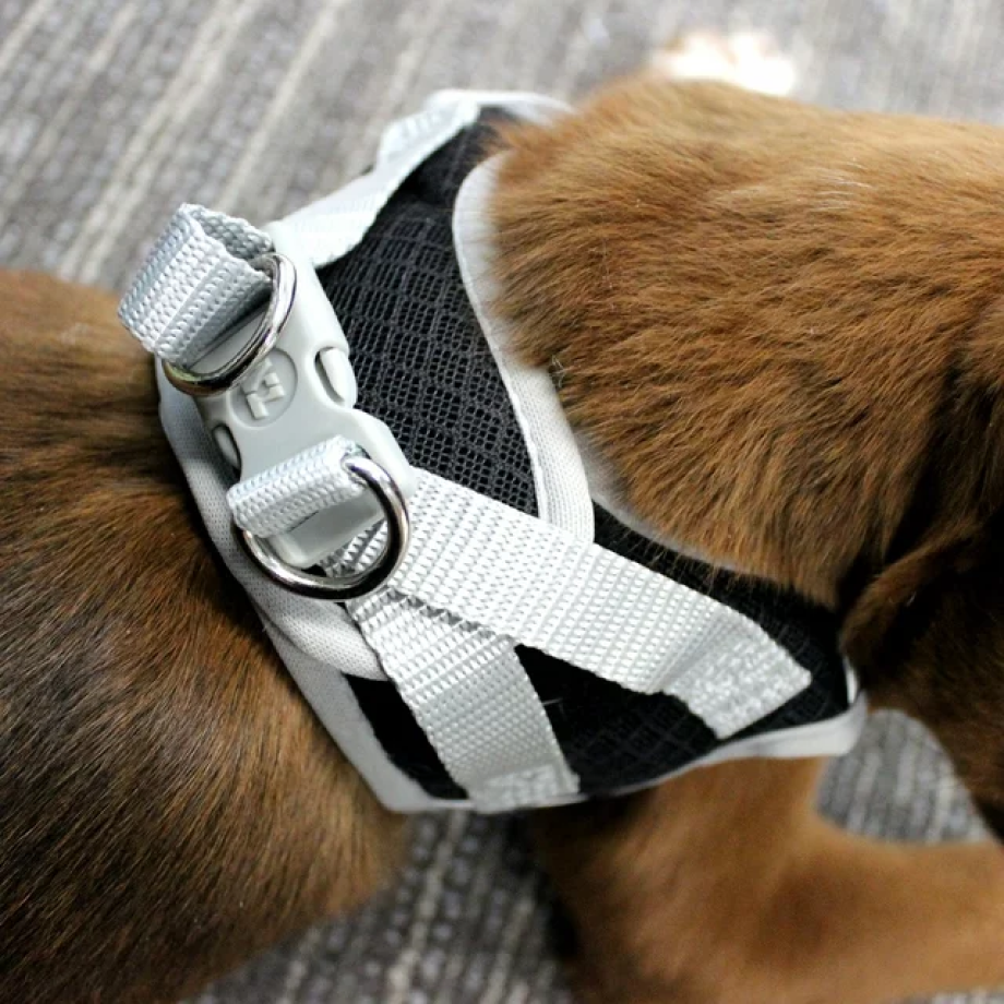 Vibrant Life Dog Harness, Black, Wrap Style, Extra Small